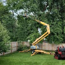 Best Tree Mulching  in Harmony Grove, CA