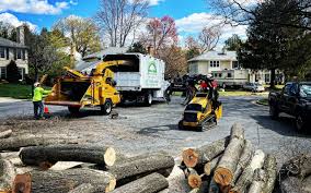 Best Commercial Tree Services  in Harmony Grove, CA