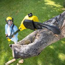 Best Pest Control for Lawns  in Harmony Grove, CA